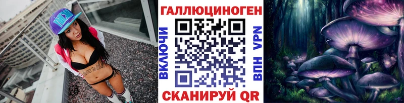 Псилоцибиновые грибы Psilocybine cubensis  закладки  Чебоксары 