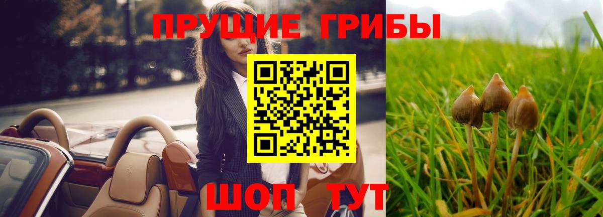 Галлюциногенные грибы прущие грибы Чебоксары