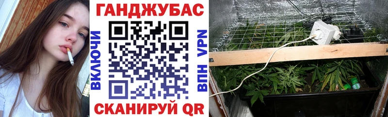 купить наркоту  Чебоксары  MEGA зеркало  Каннабис план 