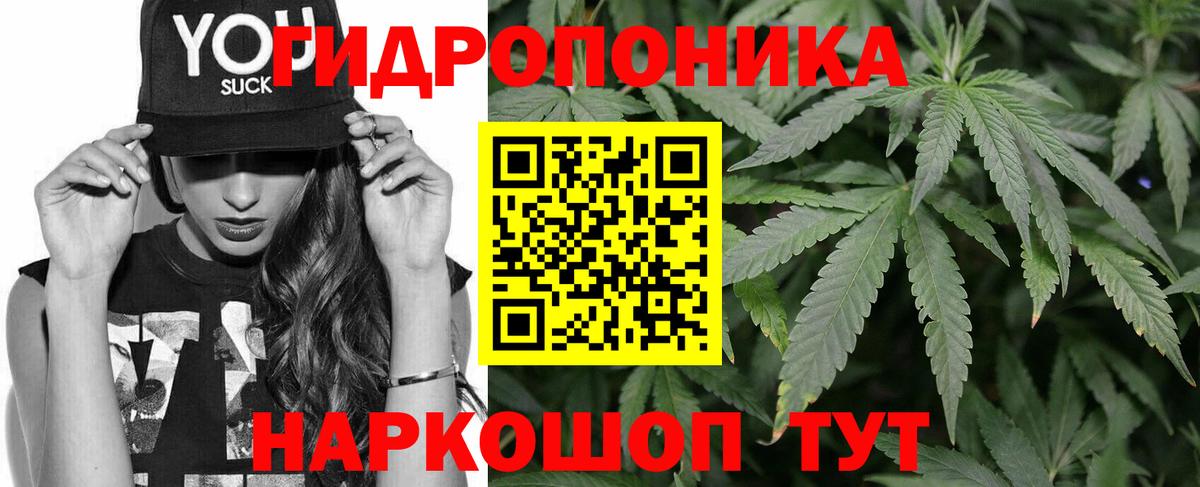 Конопля конопля Чебоксары